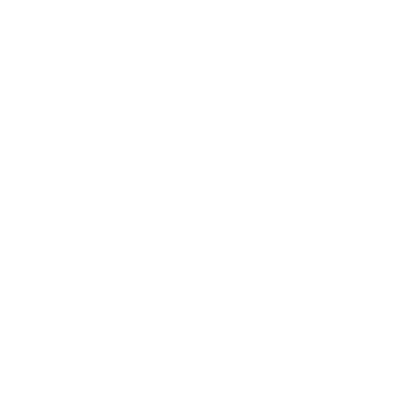 CAMBAGS